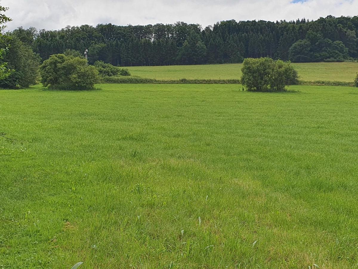 Ferienwohnungen Am Finkenweg Bestwig Eksteriør billede